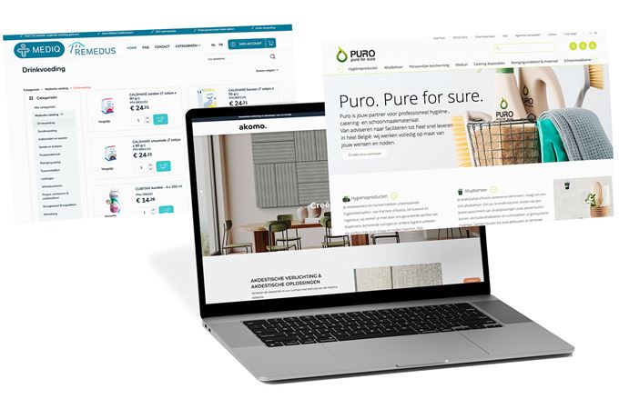 Salesforce ERP webshop